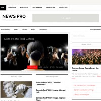 Styles - News Pro