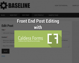 Front end post editing with Caldera Forms